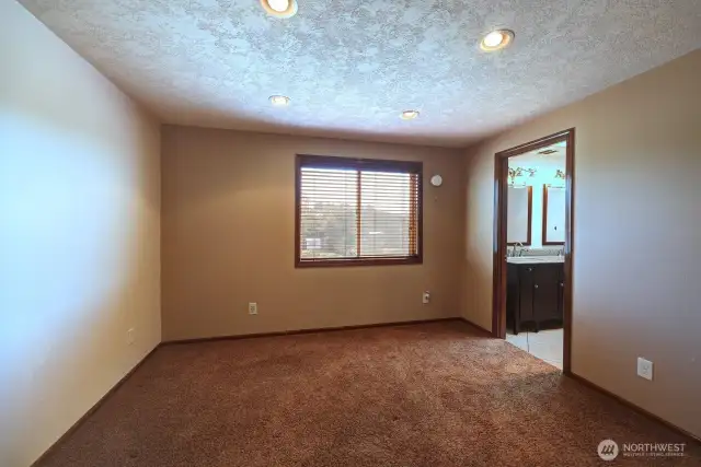Primary Bedroom with walk in closet and full bathroom.