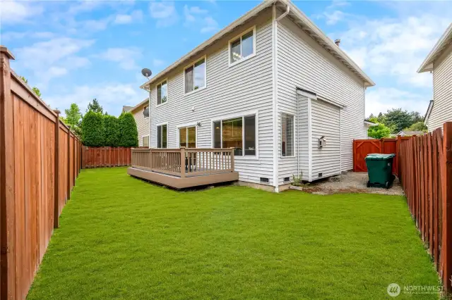 Backyard opposite angle with staged grass