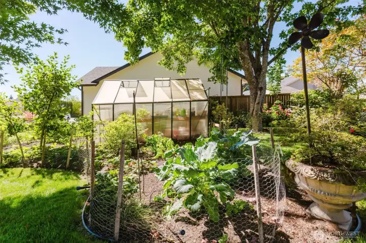 Green house.