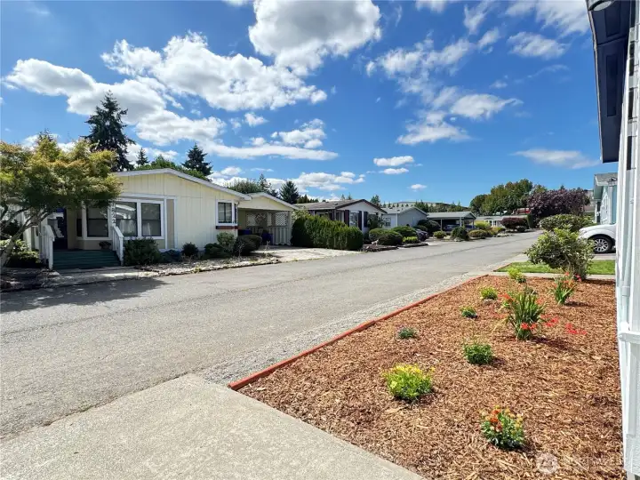 View From Driveway