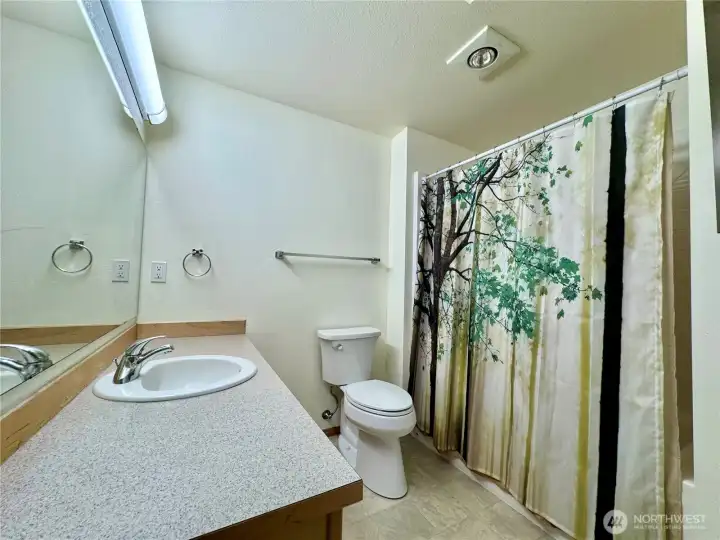 Main hallways bath with Skylight