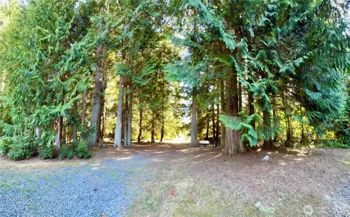 Lovely circular driveway