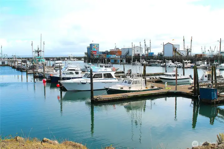 --- check out the boats in the marina.