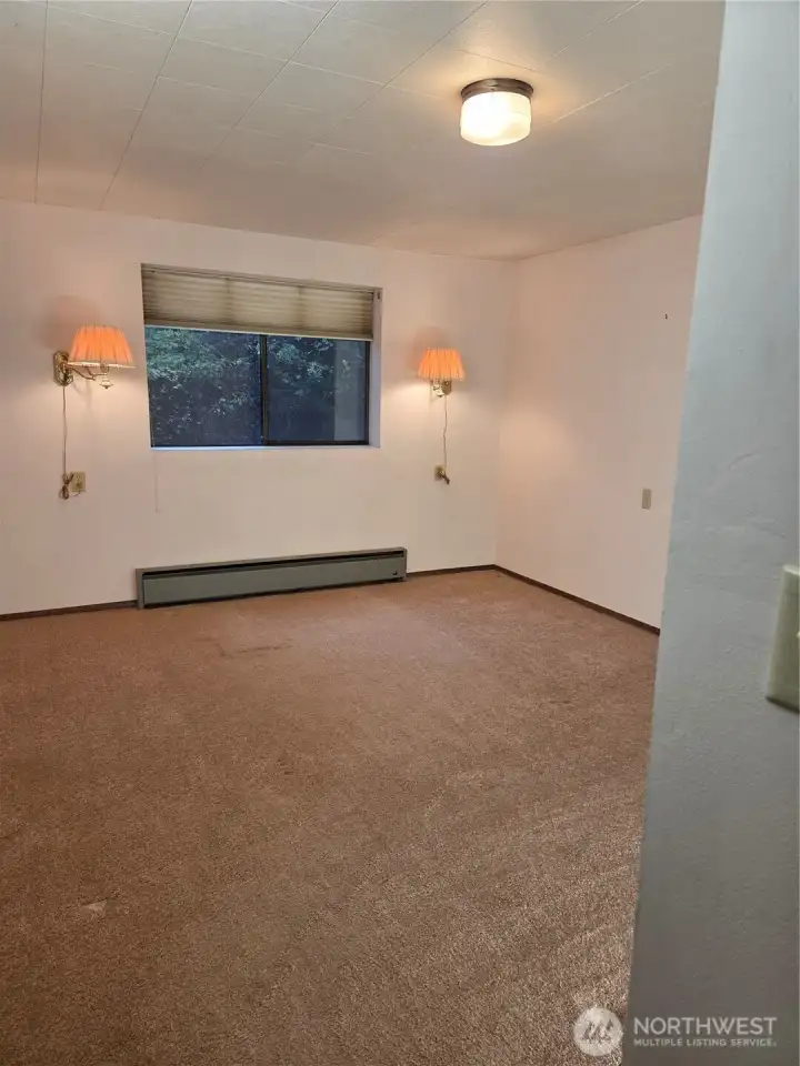 Lower level bedroom #1. Very spacious and carpeted.