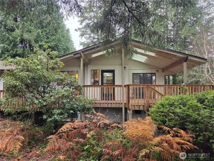 Backyard looking towards back of house