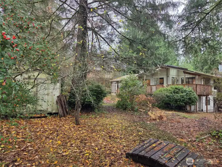 Backyard looking towards back of house