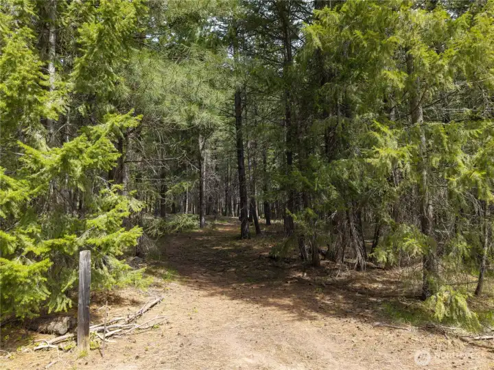 Entering your own little haven of the Methow Valley!