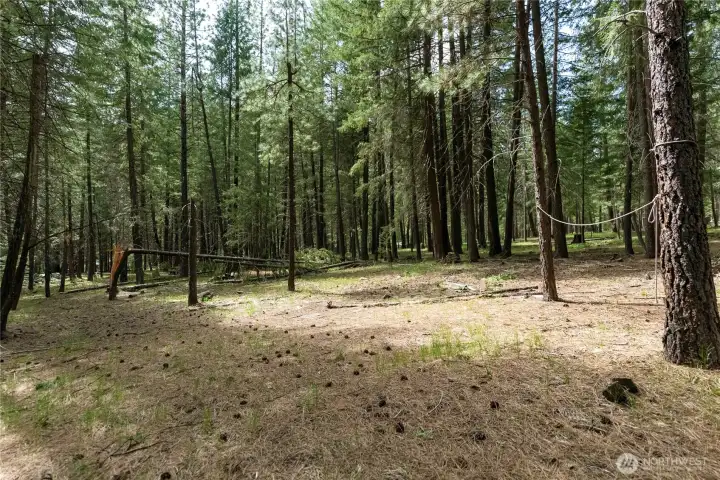 Many building sites to choose from.