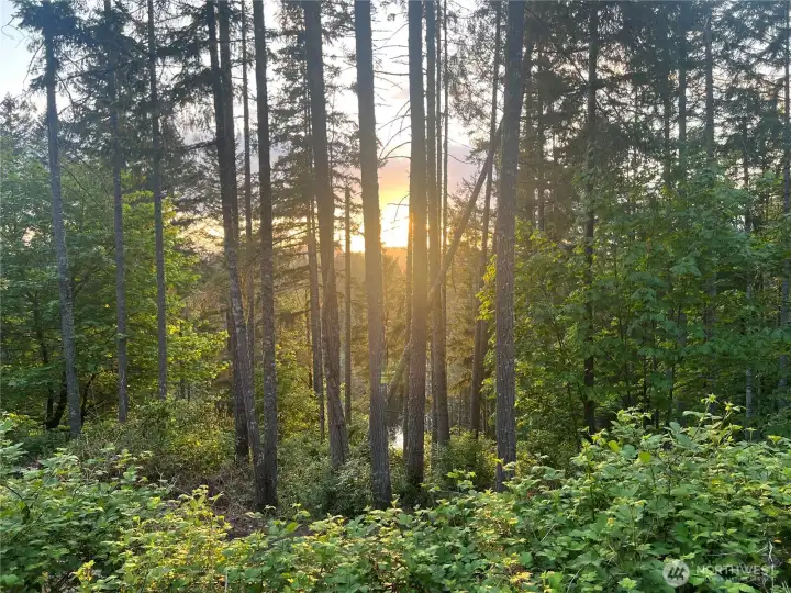 BEAUTIFUL SUNSET VIEWS FROM THIS UNIT