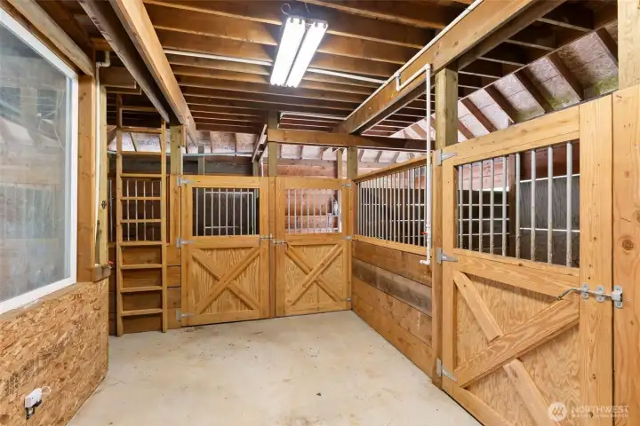 4 horse stables with water and electricity