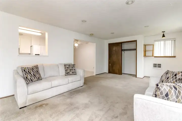 More TV/Living room. Get your own new carpet and call it good More TV/Living room. Get your own new carpet and call it good