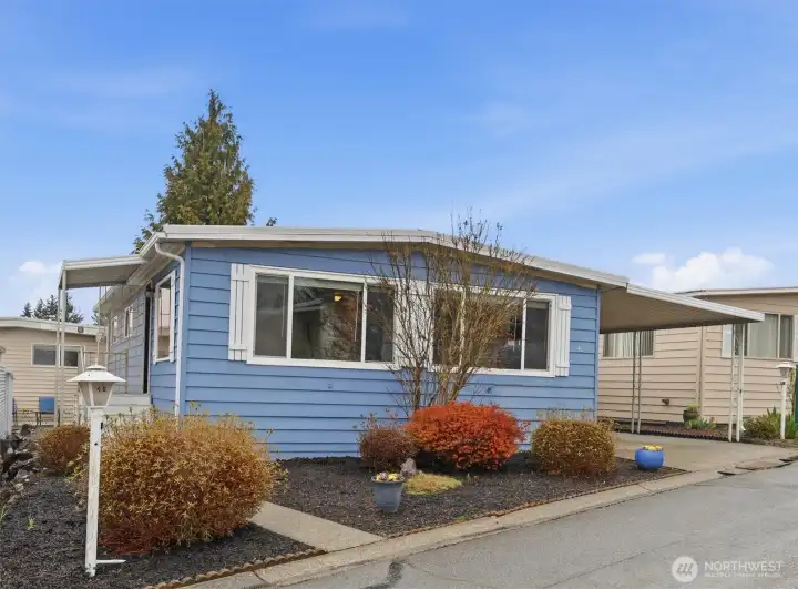 front of home, landscaped