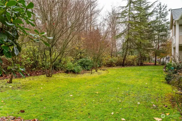 Lawn and woodland to west of condo