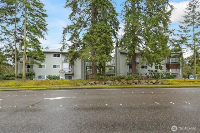 Mature trees along 200th St.