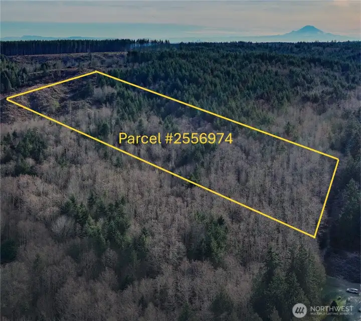 Aerial view of the site facing S towards Mt Rainier.