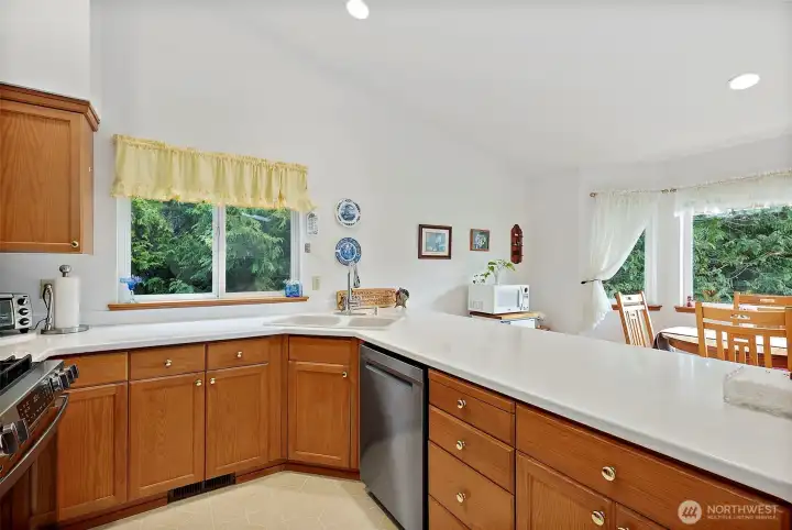 Solid countertops are spic and span!