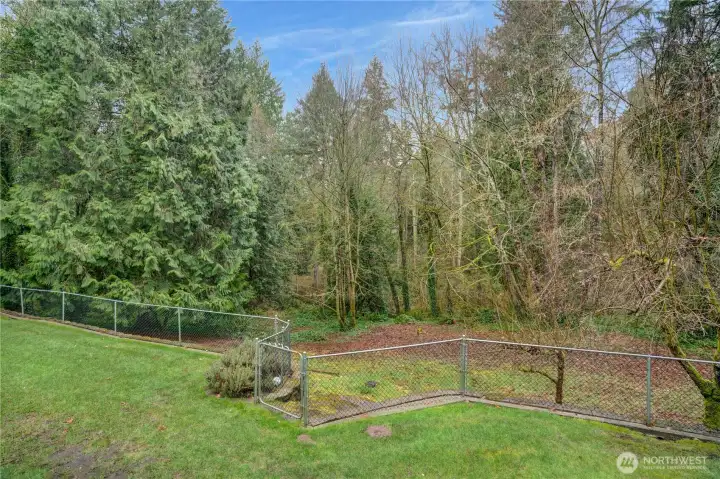 Fenced backyard with open lawn that rolls into a peaceful natural area—room for pets, play, gardening, and enjoying the surrounding woods.