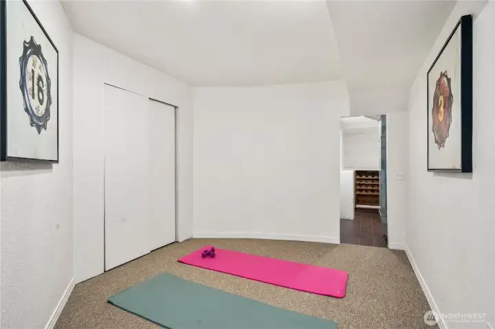 Additional room downstairs