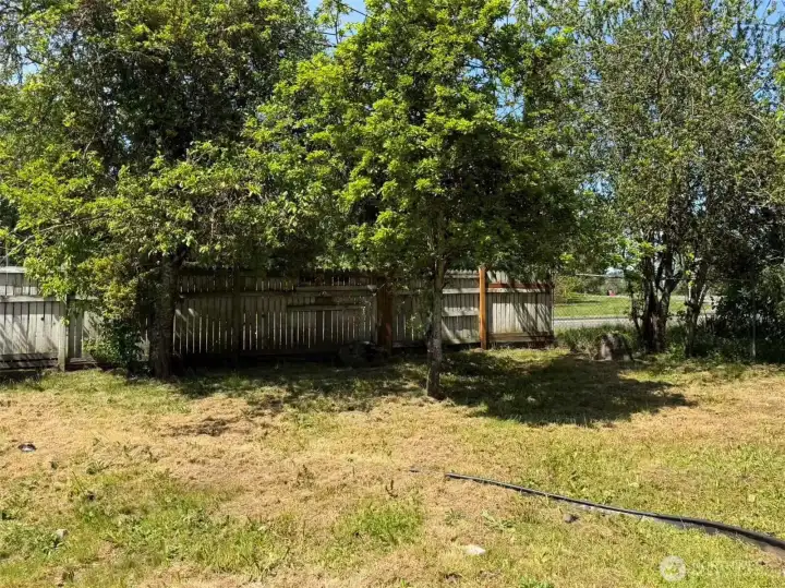Outside backyard