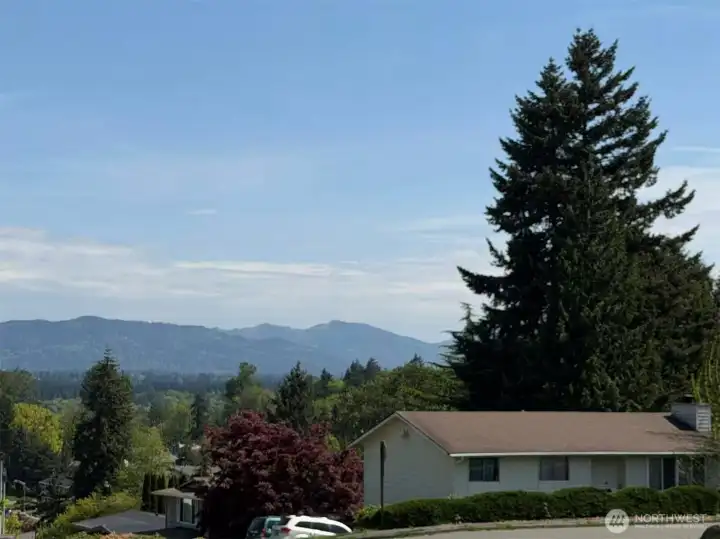 Outdoor view from property