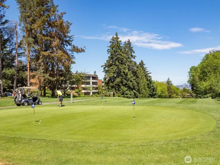Close-up view of the putting green.