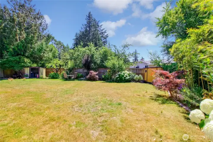 Lush backyard landscaping with storage shed.
