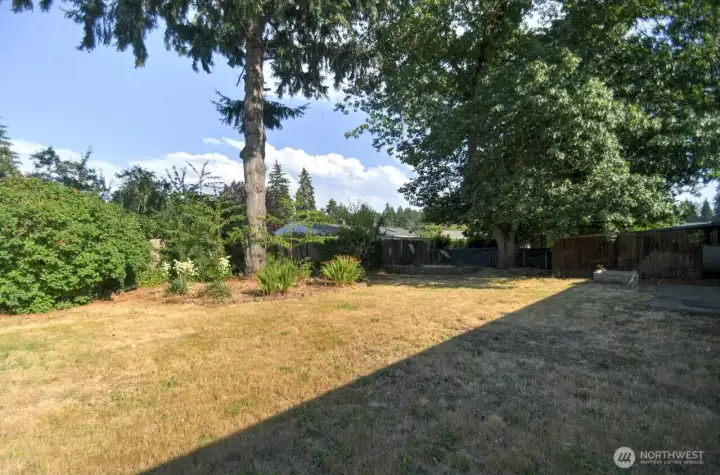 Huge backyard with great sun! Huge backyard with great sun!