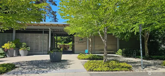 Right next door to Wilburton Hill Park is the beautiful Bellevue Botanical Garden. With guided tours, scenic trails, art shows, and engaging classes, there's something for everyone to enjoy!