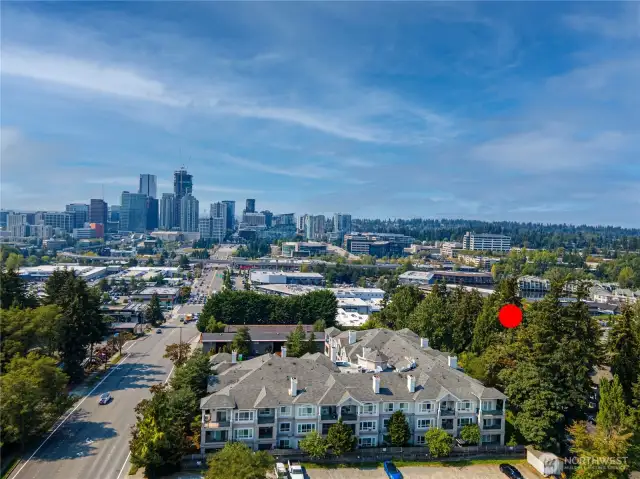 The red dot indicates the location in relation to downtown Bellevue. Conveniently located close to shopping, coffee, restaurants parks, Wilburton Light Rail, Brewpub, Meta, Bellevue Botanical Gardens, Wilburton Hill Park, Nature trails and I-405! An ideal location!