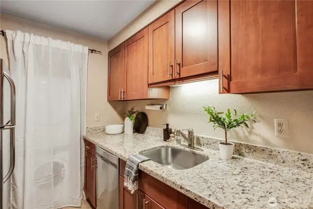 Generous counter space paired with abundant cabinet storage and undercabinet light above sink.