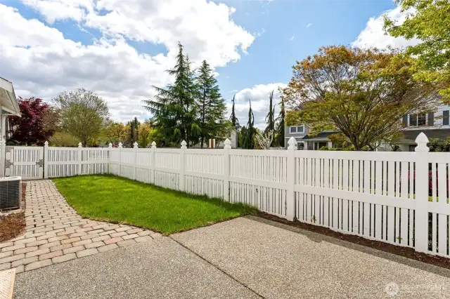 Fenced backyard