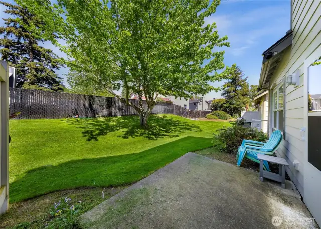 Gorgeous outdoor patio area