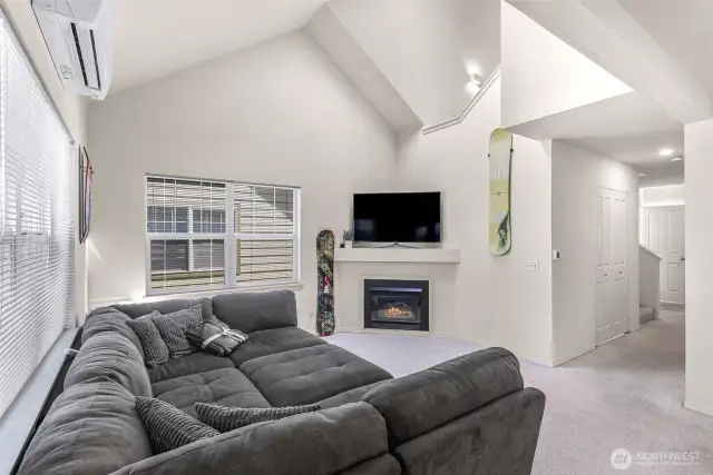 Gas fireplace