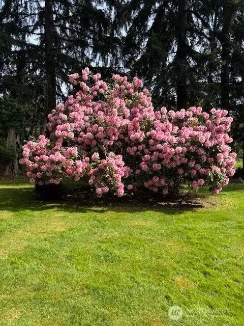 Enjoy so many mature plantings and fruit trees!