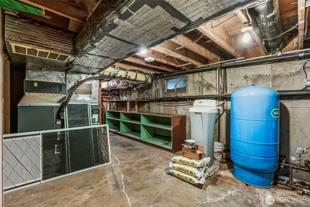 Basement workshop area