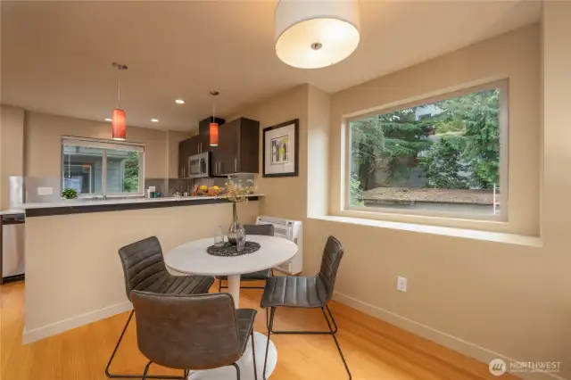 Large south-facing windows let in lots of light. Almost all the windows in the house open and have screens.