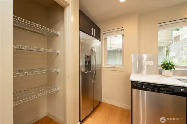 The uncommon yet coveted pantry!