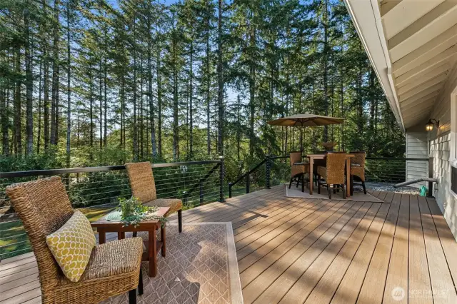 Back Deck