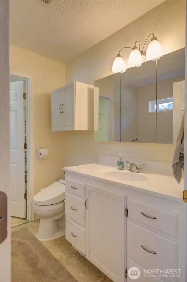 Primary bathroom has single sink vanity.