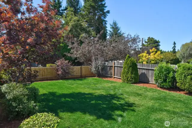 Mostly fenced front yard is another space for outdoor fun.