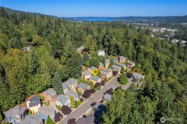 Private, professionally maintained cul-de-sac