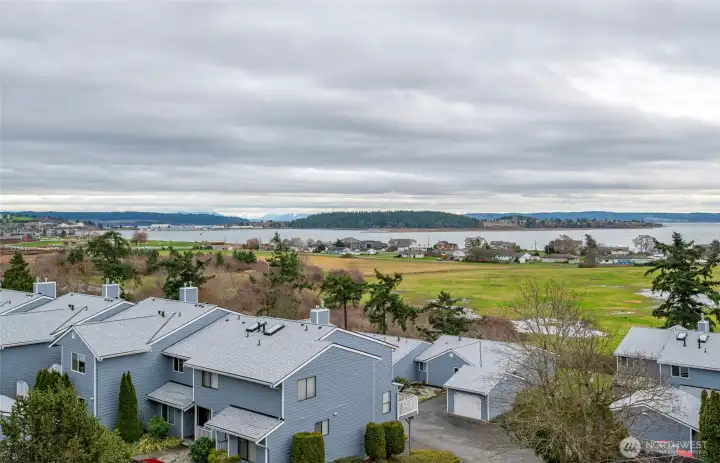 View from covered back porch.
