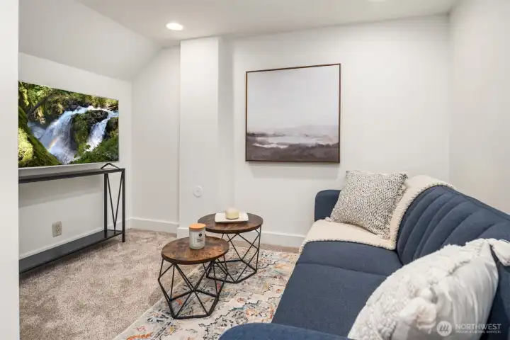 Finish basement - a great space for a media room!