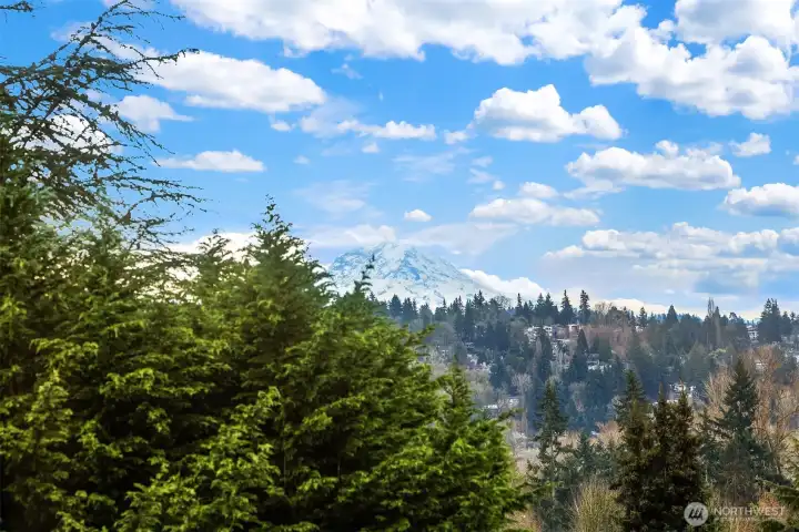 View of Mount Rainier from backyard