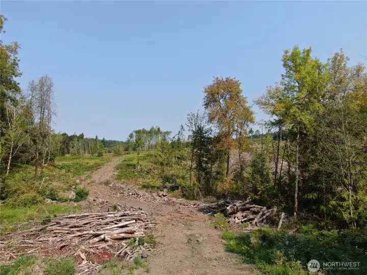 Entry drive has been put in. This is the view from Cedar Creek Rd.