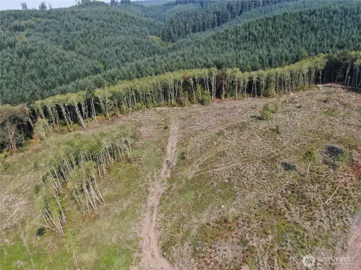 Another aerial view shows multiple possibilities for building sites on the hilltop.