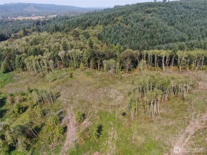 Aerial view looking NW