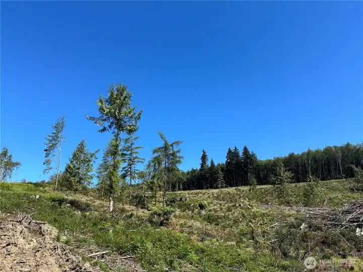 This property is so peaceful. This view is facing NE.