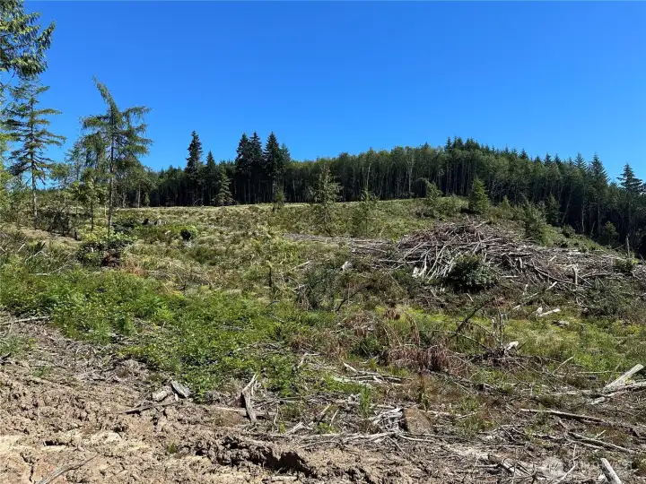 Looking east over the property, shortly past the entrance.