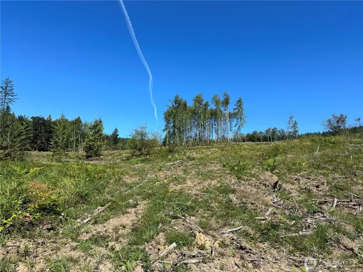 Imagine this as your new backyard! Backing to forest land, plus 16 acres with a creek to call your own means endless fun outdoors!